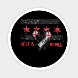 CM Punk Chicago Flag Magnet